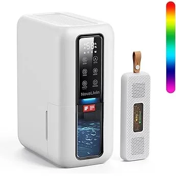 Best Dehumidifier Air Purifier Buying Guide 2026
