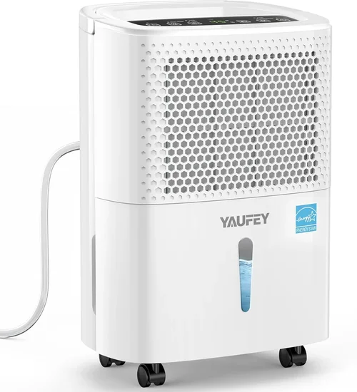 Best Cold Basement Dehumidifier Buying Guide 2026