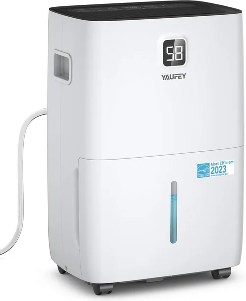 Best Cold Basement Dehumidifier Buying Guide 2026