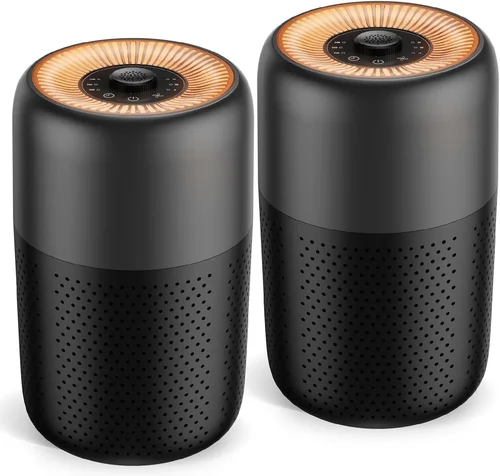 Best Dehumidifier Air Purifier Combo Shopping Guide