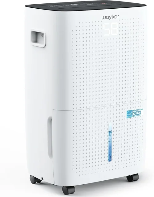 Best Dehumidifier Buying Guide 2026