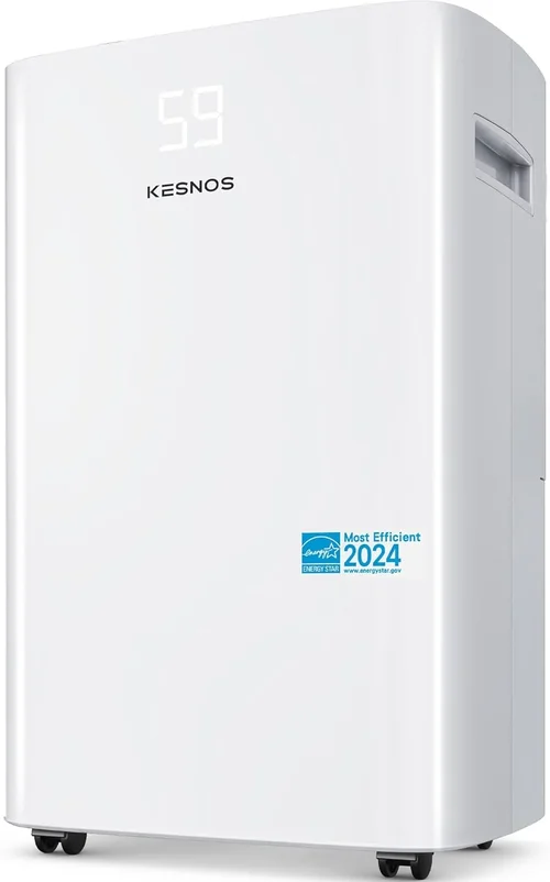 Best Energy Star Dehumidifier for Basement Buying Guide 2026