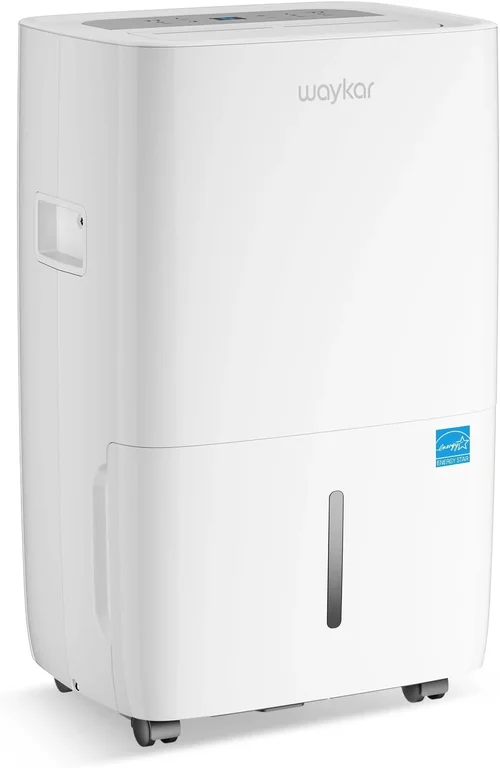 How to Choose a Basement Dehumidifier 2026