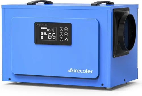 Best Crawl Space Dehumidifier Guide 2026