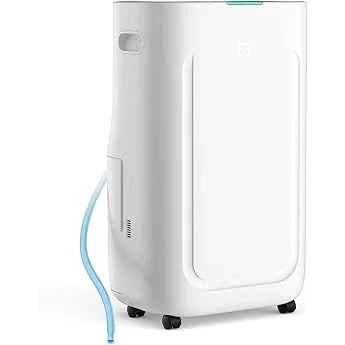 How to Choose a Dehumidifier with Pump