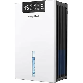 Expert Portable Dehumidifier Buying Guide