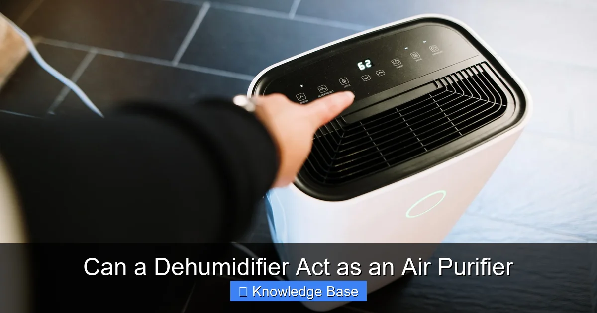 Can a Dehumidifier Act as an Air Purifier