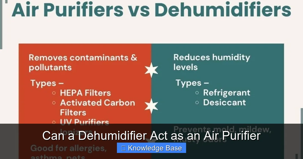 Can a Dehumidifier Act as an Air Purifier
