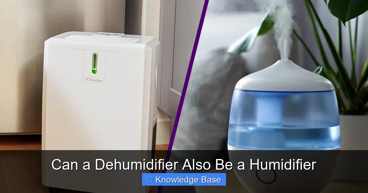 Can a Dehumidifier Also Be a Humidifier