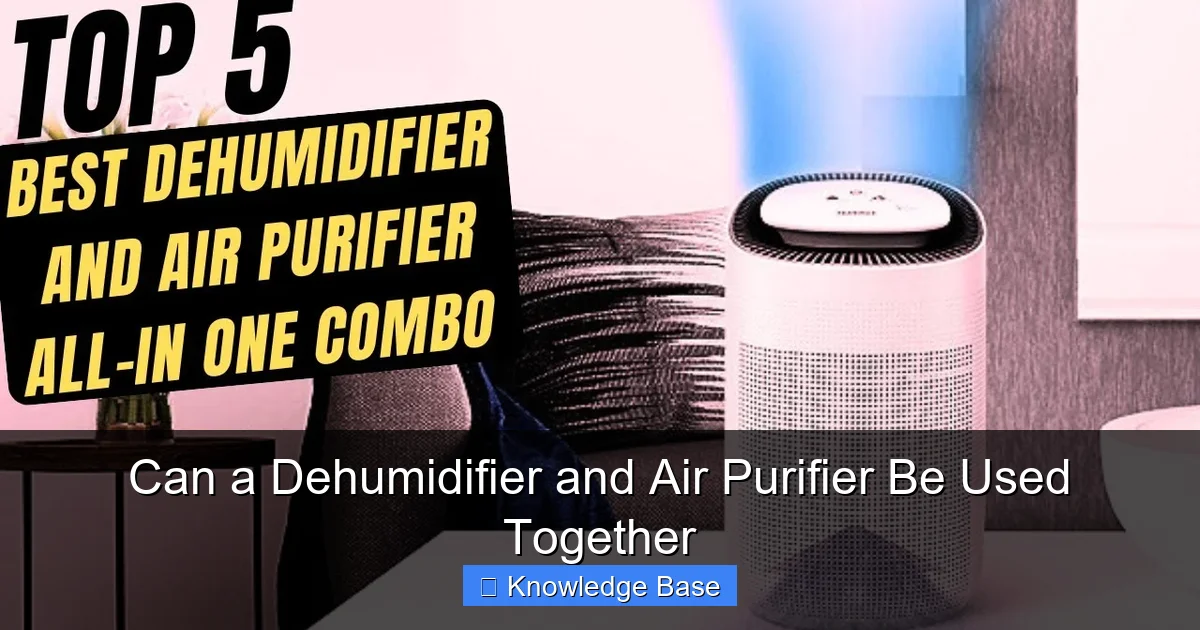 Can a Dehumidifier and Air Purifier Be Used Together
