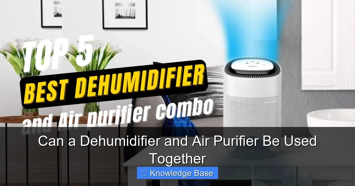 Can a Dehumidifier and Air Purifier Be Used Together