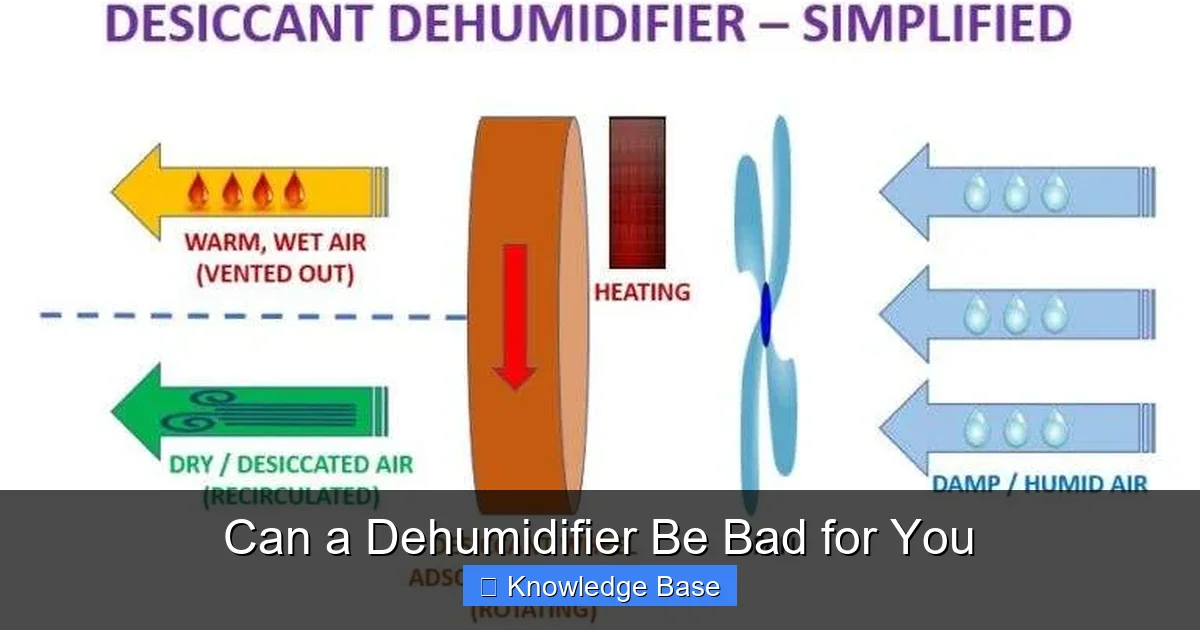 Can a Dehumidifier Be Bad for You