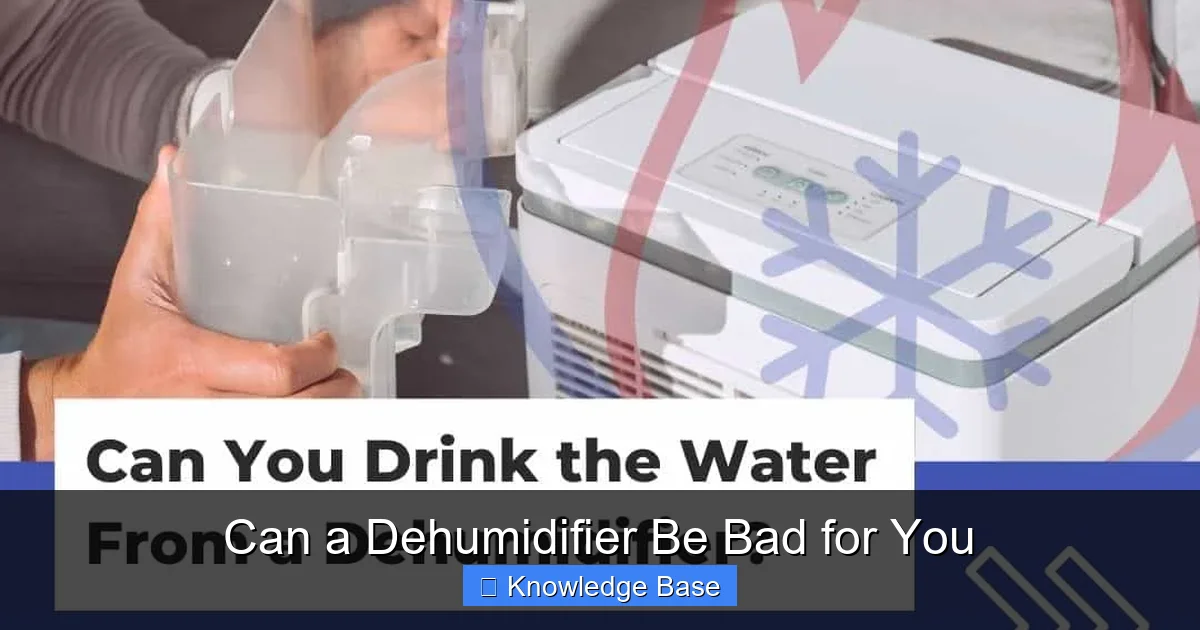 Can a Dehumidifier Be Bad for You