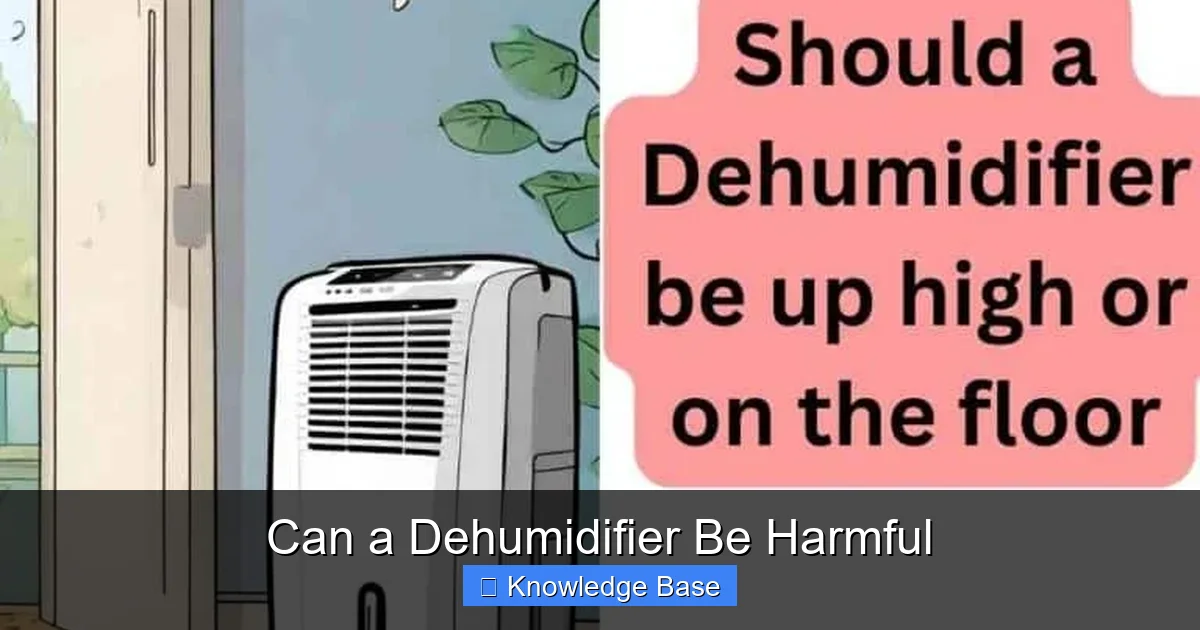 Can a Dehumidifier Be Harmful