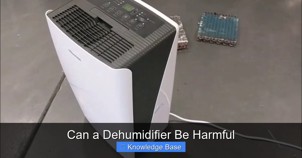 Can a Dehumidifier Be Harmful