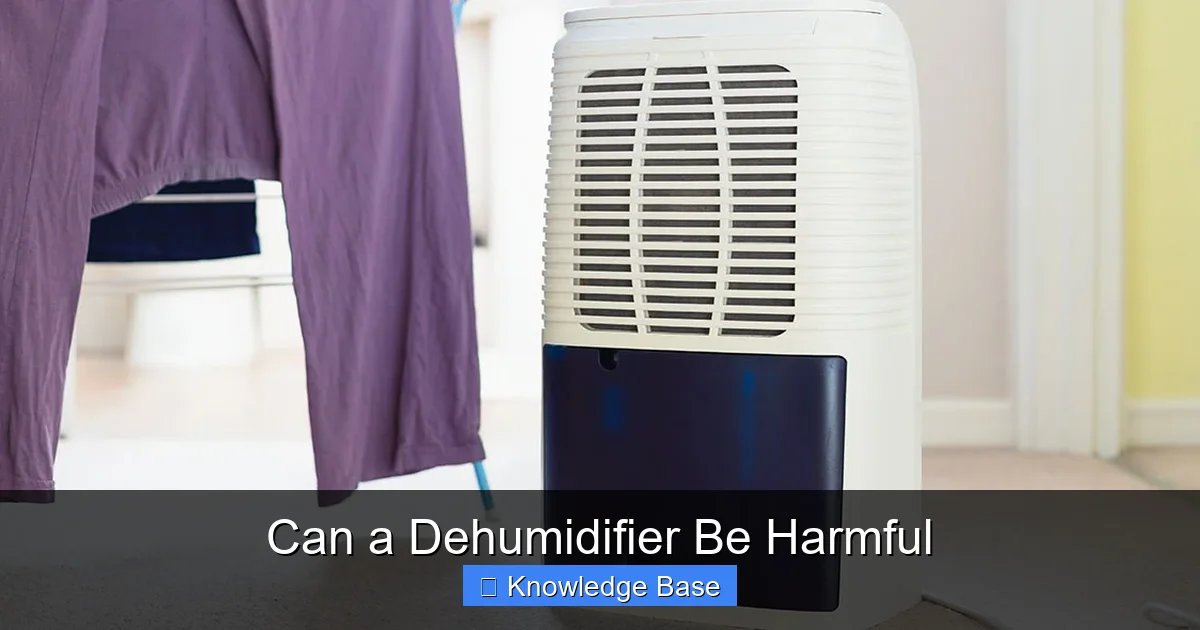Can a Dehumidifier Be Harmful