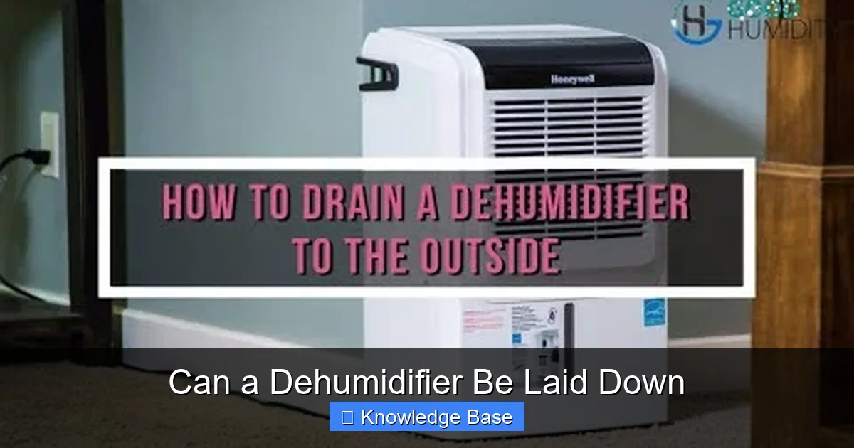 Can a Dehumidifier Be Laid Down