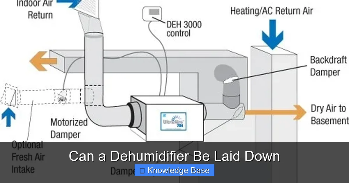 Can a Dehumidifier Be Laid Down