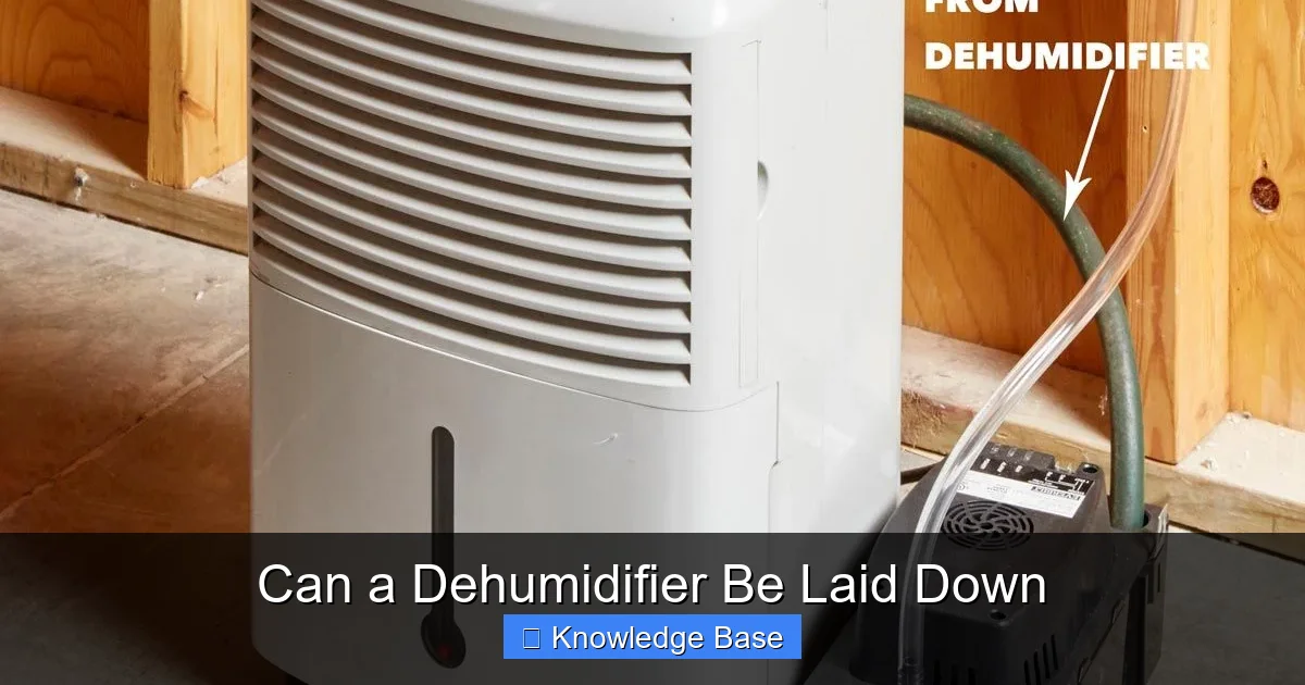 Can a Dehumidifier Be Laid Down