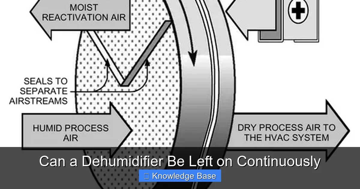 Can a Dehumidifier Be Left on Continuously
