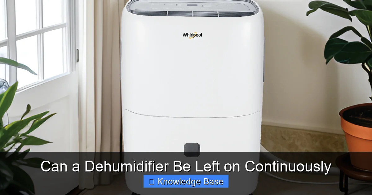 Can a Dehumidifier Be Left on Continuously
