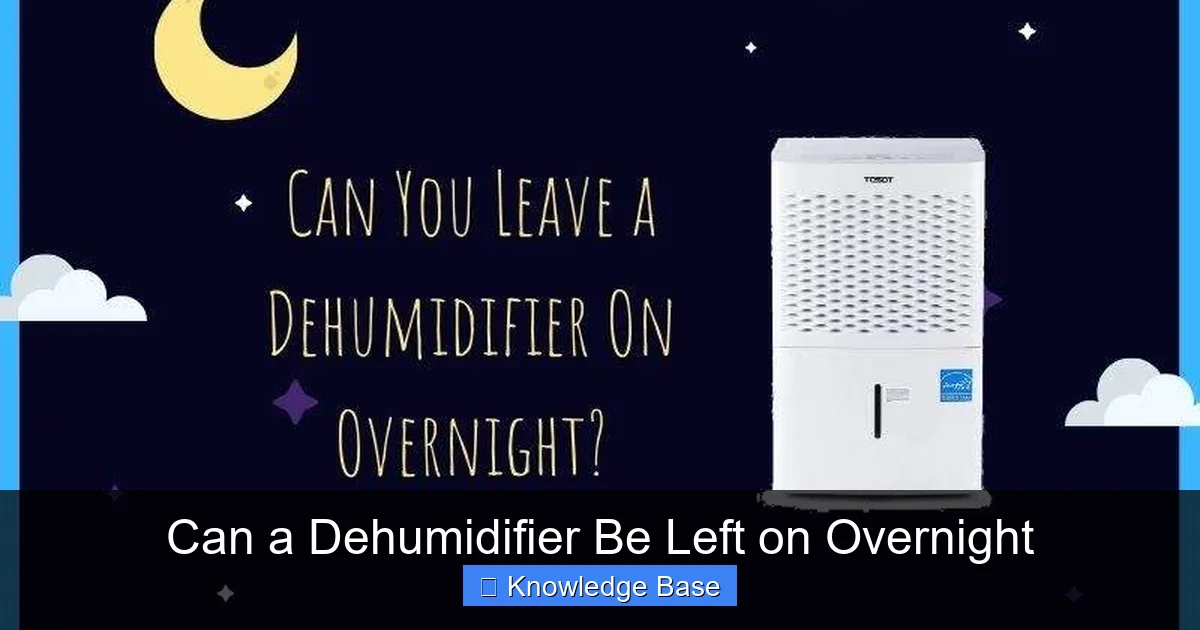 Can a Dehumidifier Be Left on Overnight