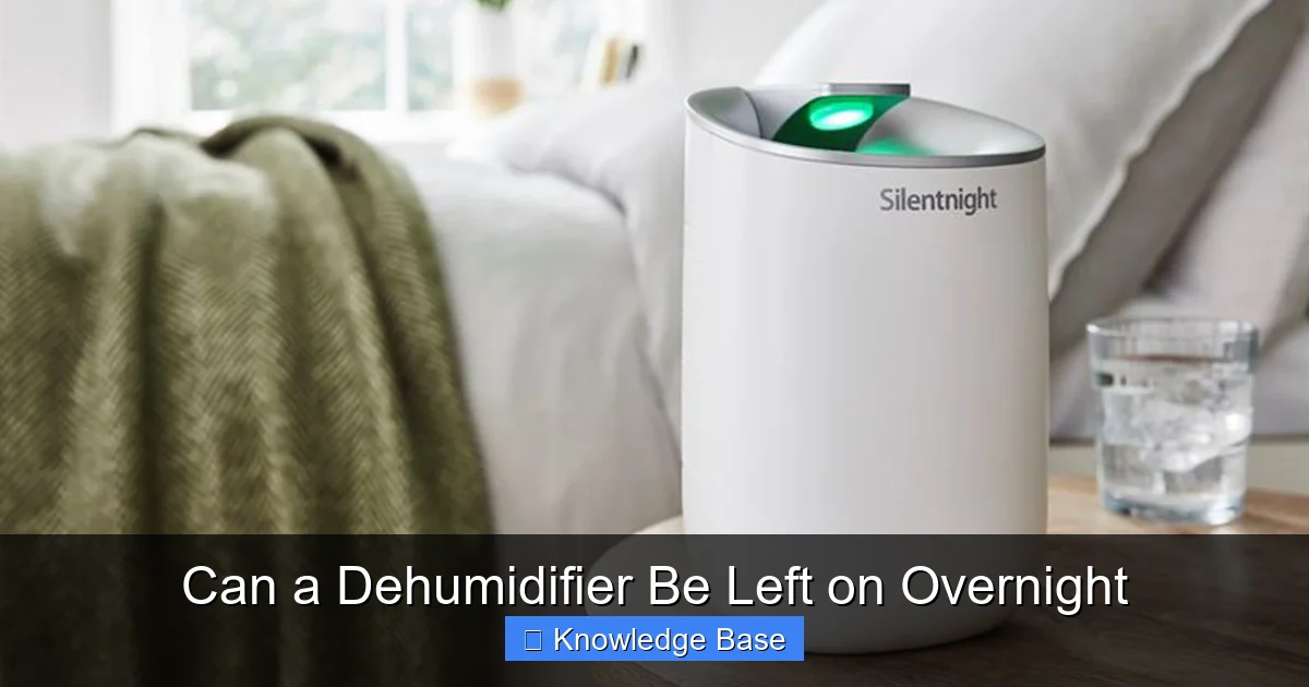 Can a Dehumidifier Be Left on Overnight