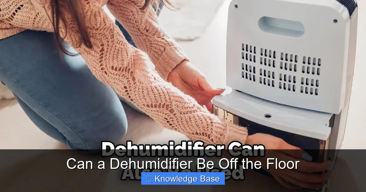 Can a Dehumidifier Be Off the Floor