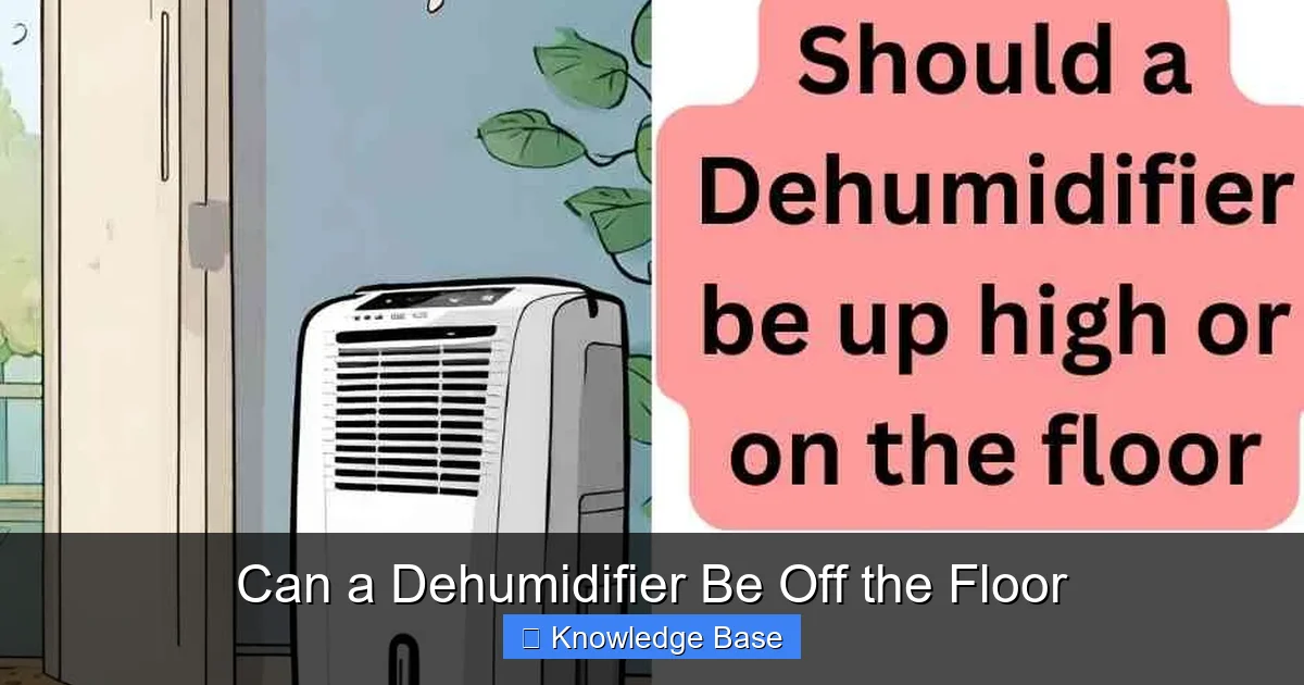Can a Dehumidifier Be Off the Floor