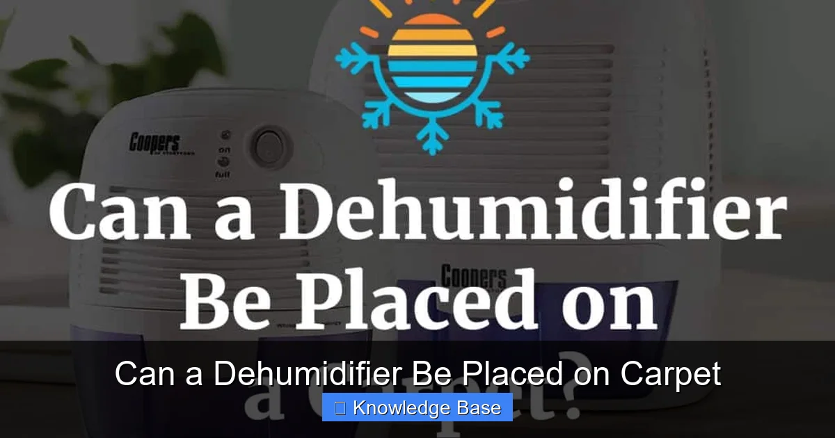 Can a Dehumidifier Be Placed on Carpet
