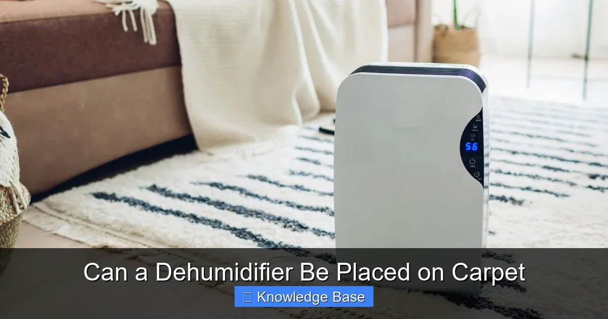 Can a Dehumidifier Be Placed on Carpet