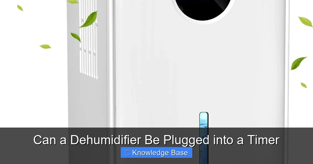 Can a Dehumidifier Be Plugged into a Timer