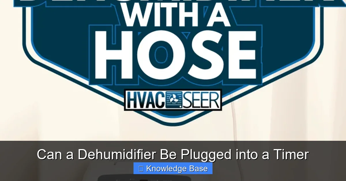 Can a Dehumidifier Be Plugged into a Timer