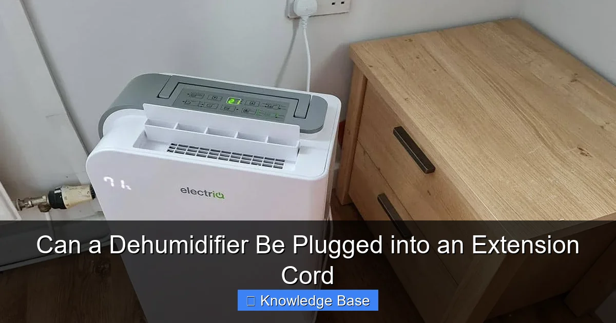 Can a Dehumidifier Be Plugged into an Extension Cord
