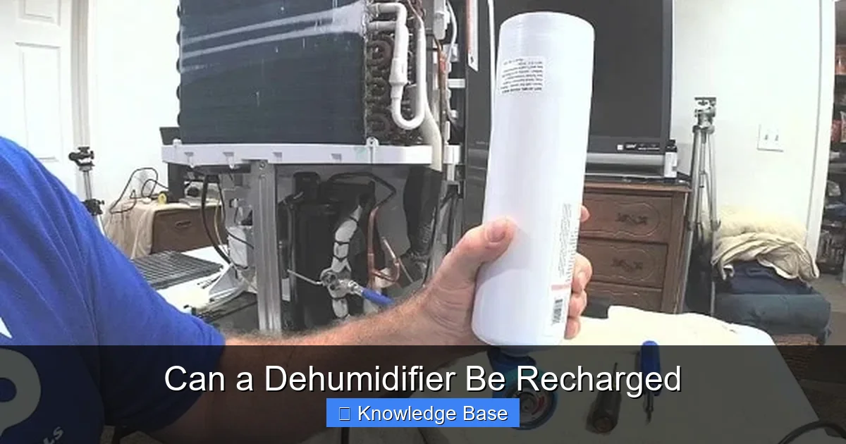 Can a Dehumidifier Be Recharged