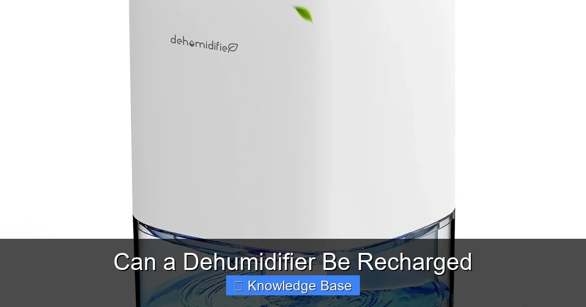Can a Dehumidifier Be Recharged