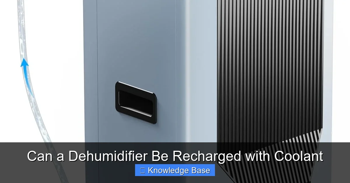 Can a Dehumidifier Be Recharged with Coolant