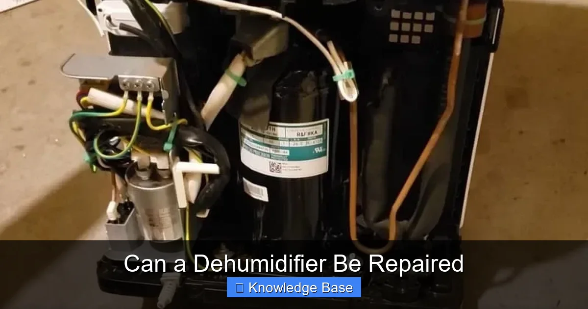 Can a Dehumidifier Be Repaired