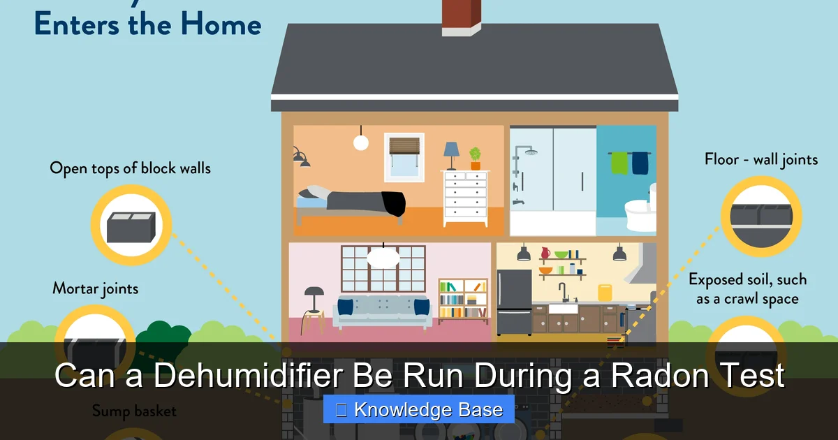 Can a Dehumidifier Be Run During a Radon Test