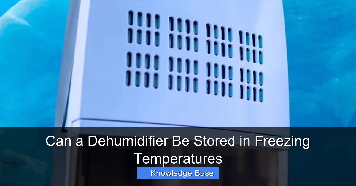 Can a Dehumidifier Be Stored in Freezing Temperatures
