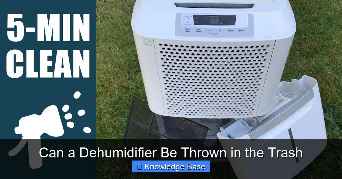 Can a Dehumidifier Be Thrown in the Trash