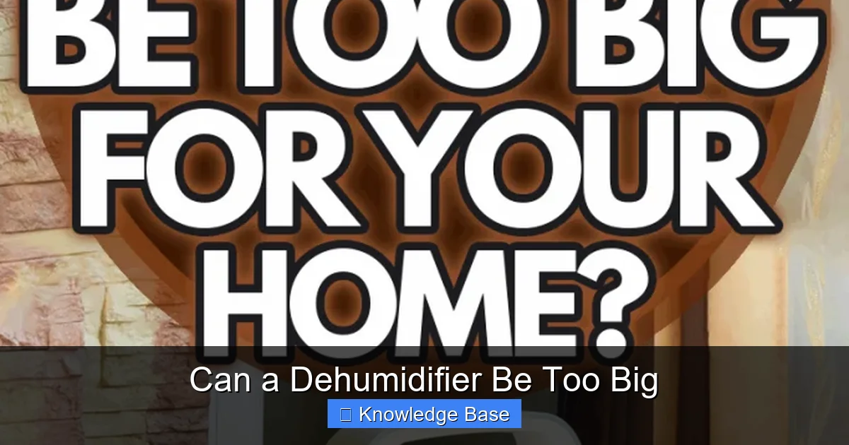 Can a Dehumidifier Be Too Big