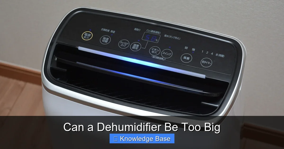 Can a Dehumidifier Be Too Big