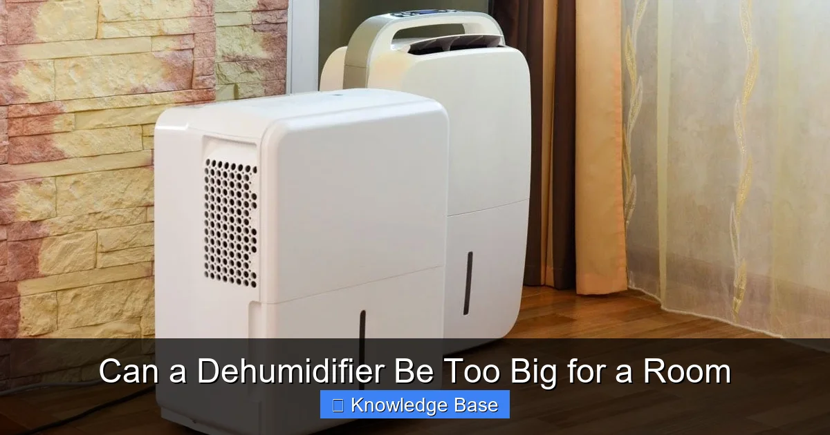 Can a Dehumidifier Be Too Big for a Room