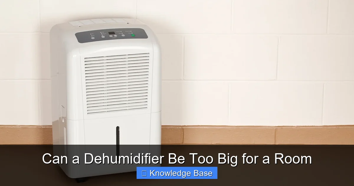 Can a Dehumidifier Be Too Big for a Room