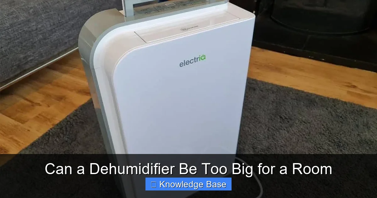 Can a Dehumidifier Be Too Big for a Room