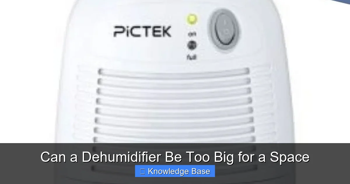 Can a Dehumidifier Be Too Big for a Space