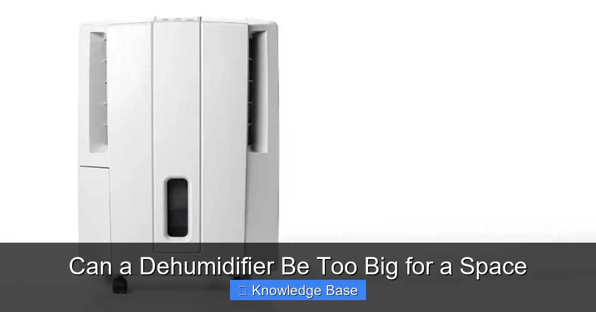 Can a Dehumidifier Be Too Big for a Space