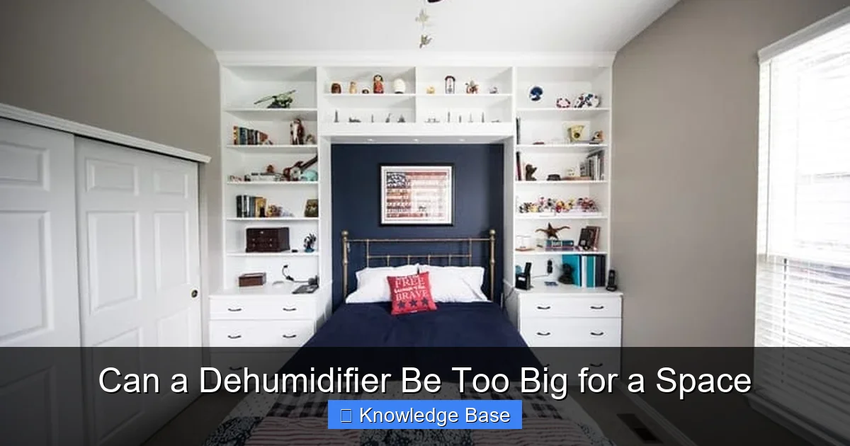 Can a Dehumidifier Be Too Big for a Space