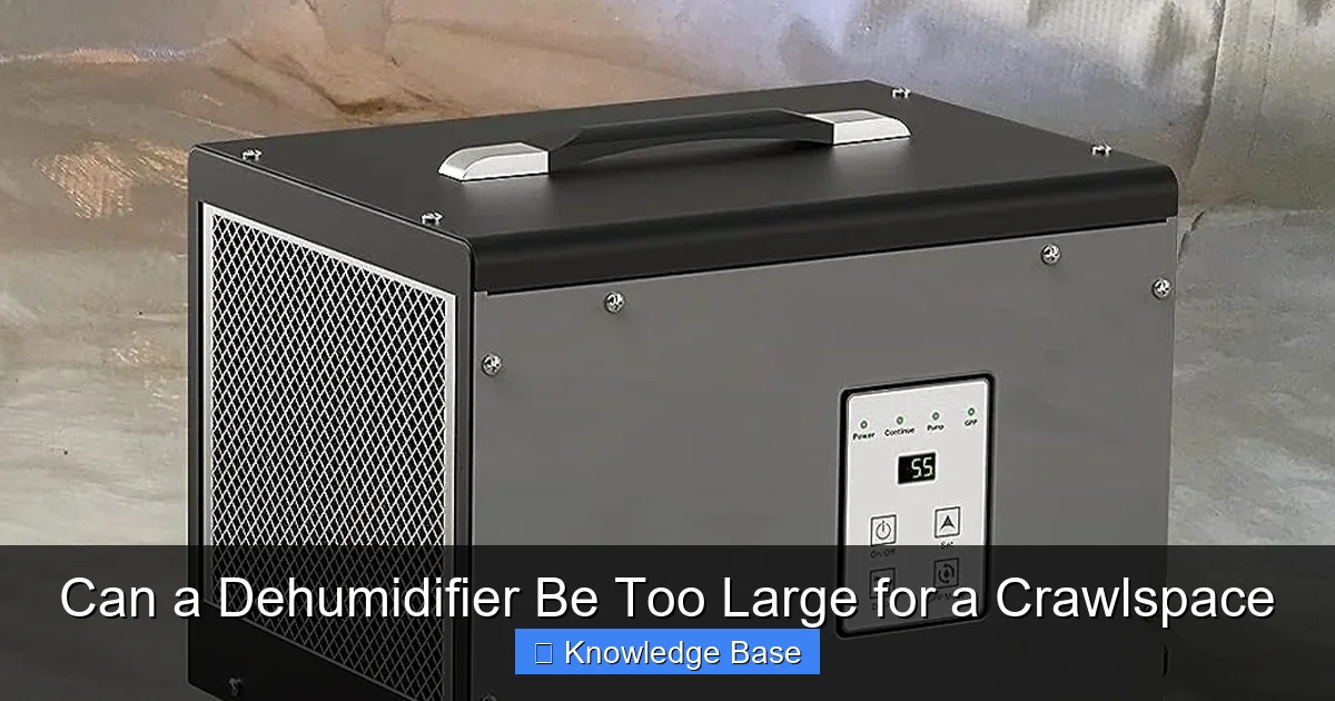 Can a Dehumidifier Be Too Large for a Crawlspace